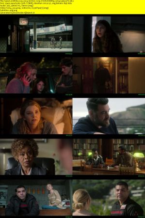 White Lies 2024 S01 COMPLETE 720p STAN WEBRip x264-GalaxyTV