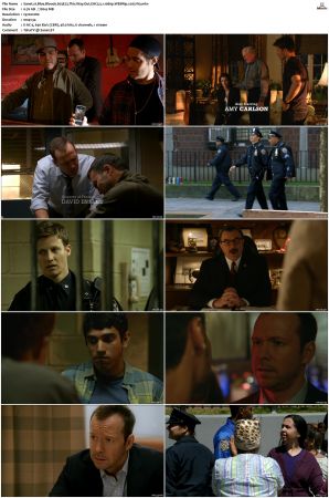 Blue Bloods S03 WEBRip EAC3 5 1 1080p x265-iVy