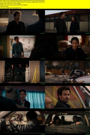 The Cleaning Lady S03E06 1080p WEB H264-SuccessfulCrab