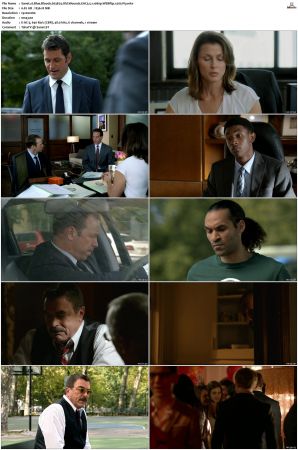 Blue Bloods S03 WEBRip EAC3 5 1 1080p x265-iVy