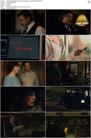 Blue Bloods S01 WEBRip EAC3 5 1 1080p x265-iVy