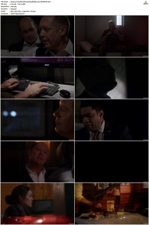 The Blacklist S01-S10 + Redemption DVDRip BDRip x264-Scene