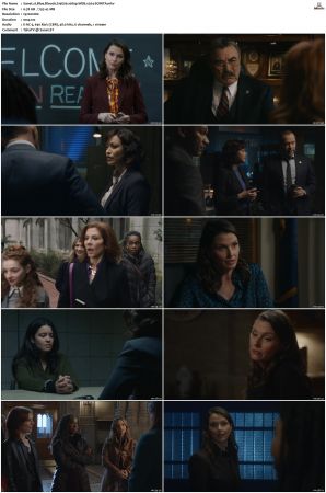 Blue Bloods S14E06 1080p WEB x264-SOiNTA