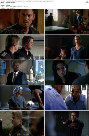 Terminator The Sarah Connor Chronicles S02 Bluray EAC3 5 1 1080p x265-iVy