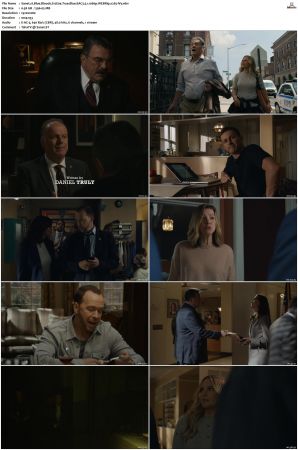 Blue Bloods S12 WEBRip EAC3 5 1 1080p x265-iVy