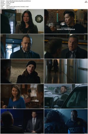 Blue Bloods S14E05 1080p WEB x264-SOiNTA