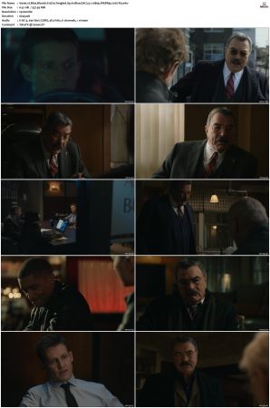 Blue Bloods S12 WEBRip EAC3 5 1 1080p x265-iVy