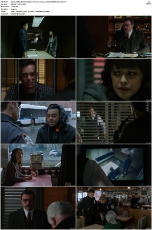 Blue Bloods S05 WEBRip EAC3 5 1 1080p x265-iVy