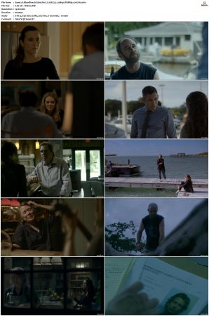 Bloodline S02 WEBRip EAC3 5.1 1080p x265-iVy