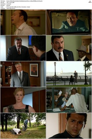Blue Bloods S03 WEBRip EAC3 5 1 1080p x265-iVy