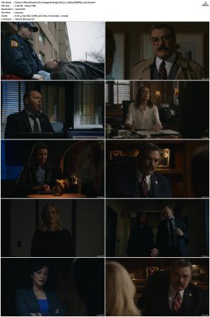 Blue Bloods S11 WEBRip EAC3 5 1 1080p x265-iVy