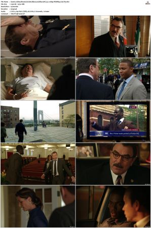 Blue Bloods S02 WEBRip EAC3 5 1 1080p x265-iVy