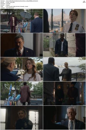 Blue Bloods S13 WEBRip EAC3 5 1 1080p x265-iVy