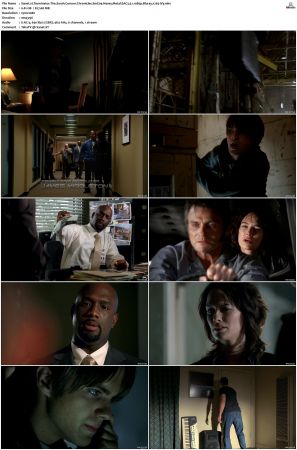 Terminator The Sarah Connor Chronicles S01 Bluray EAC3 5 1 1080p x265-iVy