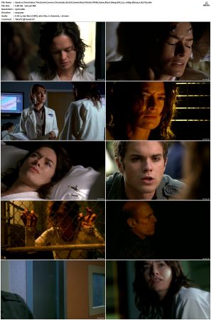 Terminator The Sarah Connor Chronicles S02 Bluray EAC3 5 1 1080p x265-iVy