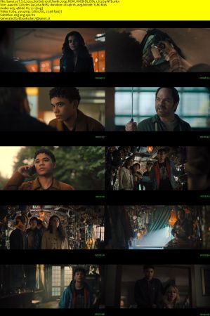 The Spiderwick Chronicles 2024 S01 REPACK 720p ROKU WEB-DL DD5.1 H 264-NTb