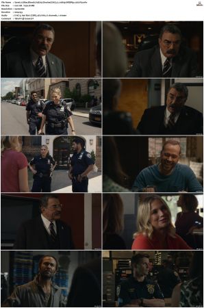 Blue Bloods S13 WEBRip EAC3 5 1 1080p x265-iVy