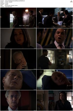 The Blacklist S01-S10 + Redemption DVDRip BDRip x264-Scene