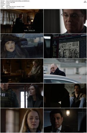 The Blacklist S01-S10 + Redemption DVDRip BDRip x264-Scene