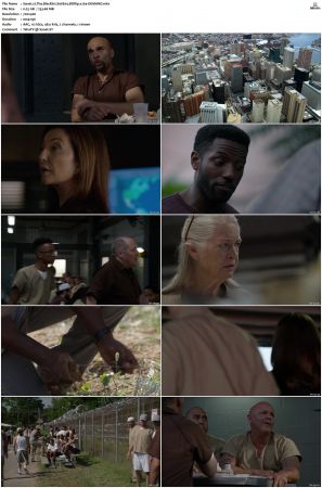 The Blacklist S01-S10 + Redemption DVDRip BDRip x264-Scene