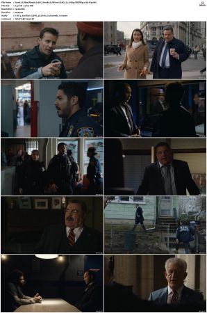 Blue Bloods S13 WEBRip EAC3 5 1 1080p x265-iVy