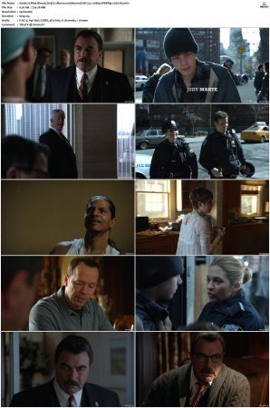 Blue Bloods S04 WEBRip EAC3 5 1 1080p x265-iVy