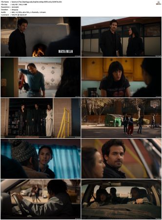 The Cleaning Lady S03E06 1080p WEB x264-SOiNTA