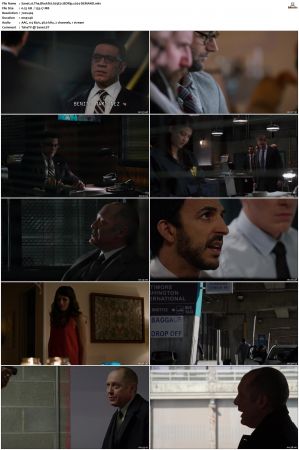 The Blacklist S01-S10 + Redemption DVDRip BDRip x264-Scene