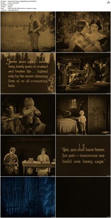The Trap 1922 1080p BluRay x264-SUP3R