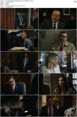 Blue Bloods S09 WEBRip EAC3 5 1 1080p x265-iVy