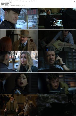Blue Bloods S04 WEBRip EAC3 5 1 1080p x265-iVy