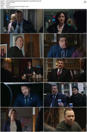Blue Bloods S10 WEBRip EAC3 5.1 1080p x265-iVy
