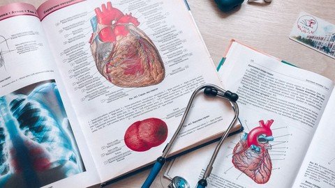 Usmle Step 1 Excellence: The 2024 Candidate's Ultimate Guide