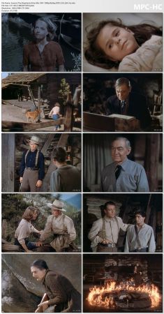 The Shepherd of the Hills 1941 1080p BluRay DDP 2.0 H265-iVy