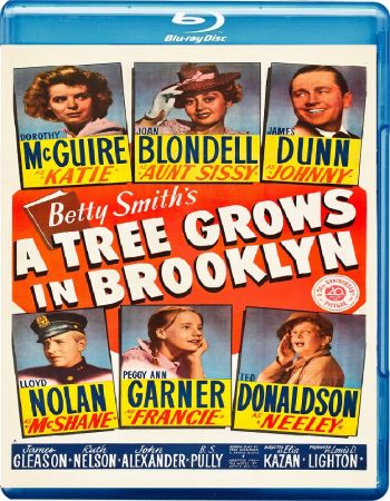 A Tree Grows in Brooklyn 1945 MOC 1080p BluRay x265 HEVC FLAC-SARTRE