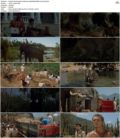 Tarzan Goes to India 1962 1080p BluRay DDP 2.0 H265-iVy