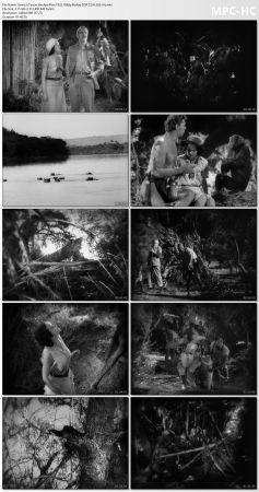 Tarzan the Ape Man 1932 1080p BluRay DDP 2.0 H265-iVy