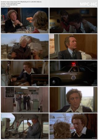 Silver Streak 1976 1080p BluRay AC3 5.1 x265 HEVC-Nb8