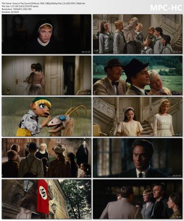 The Sound Of Music 1965 1080p BluRay Flac 2.0 x265 HEVC-Nb8