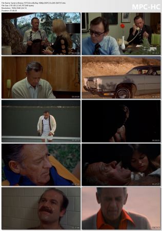 Breezy 1973 Kino BluRay 1080p DDP 2.0 x265-SM737