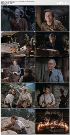 The Shepherd Of The Hills 1941 1080p BluRay Flac 2.0 x265 HEVC-Nb8