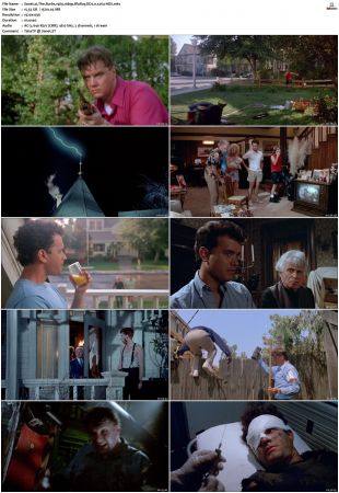 The Burbs 1989 1080p BluRay DD2.0 x264-HDS