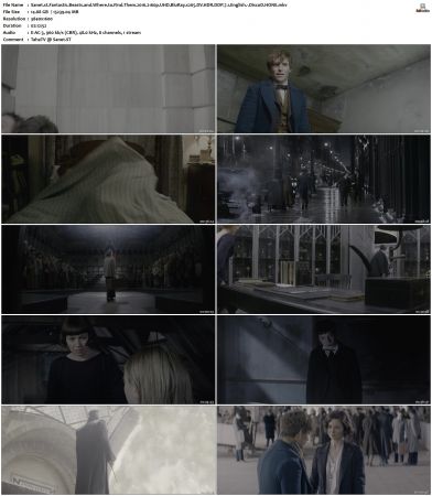 Fantastic Beasts and Where to Find Them 2016 2160p UHD BluRay x265 DV HDR DDP 7 1 English - DiscoD HONE