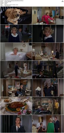 That Funny Feeling 1965 1080p WEB H264-CBFM