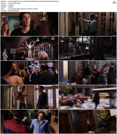 Spider-Man 2 2004 MULTI 1080p 10bit 60FPS BluRay x265-BlacK PearL