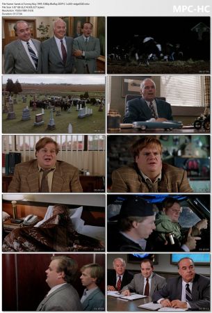 Tommy Boy 1995 1080p BluRay DDP 5.1 x265-edge2020