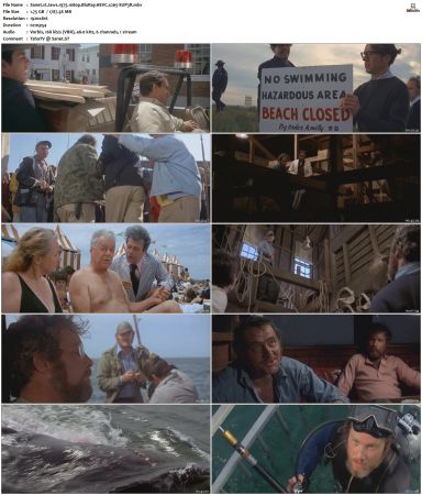 Jaws 1975 1080p BluRay HEVC x265-SUP3R