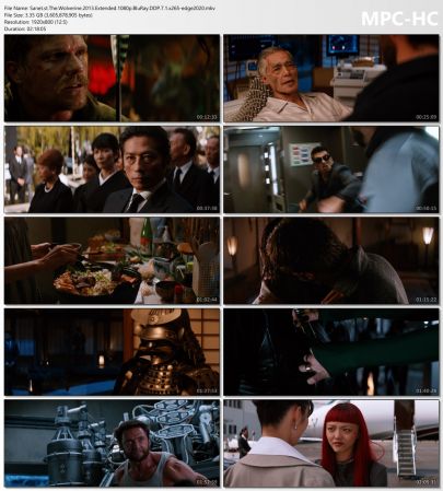The Wolverine 2013 Extended 1080p BluRay DDP 7.1 x265-edge2020