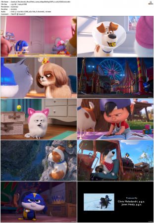 The Secret Life of Pets 2 2019 1080p BluRay DDP 7.1 x265-EDGE2020
