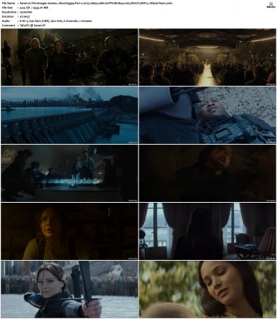 The Hunger Games Mockingjay Part 2 2015 MULTI 1080p 10bit 60FPS BluRay x265-BlacK PearL